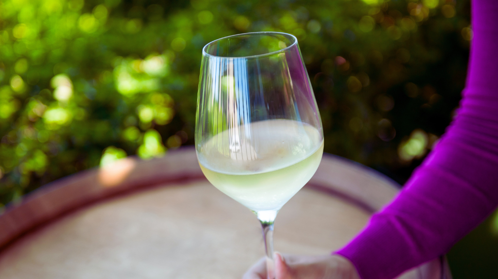 Exploring Local Wineries and Breweries Around the Miami Valley