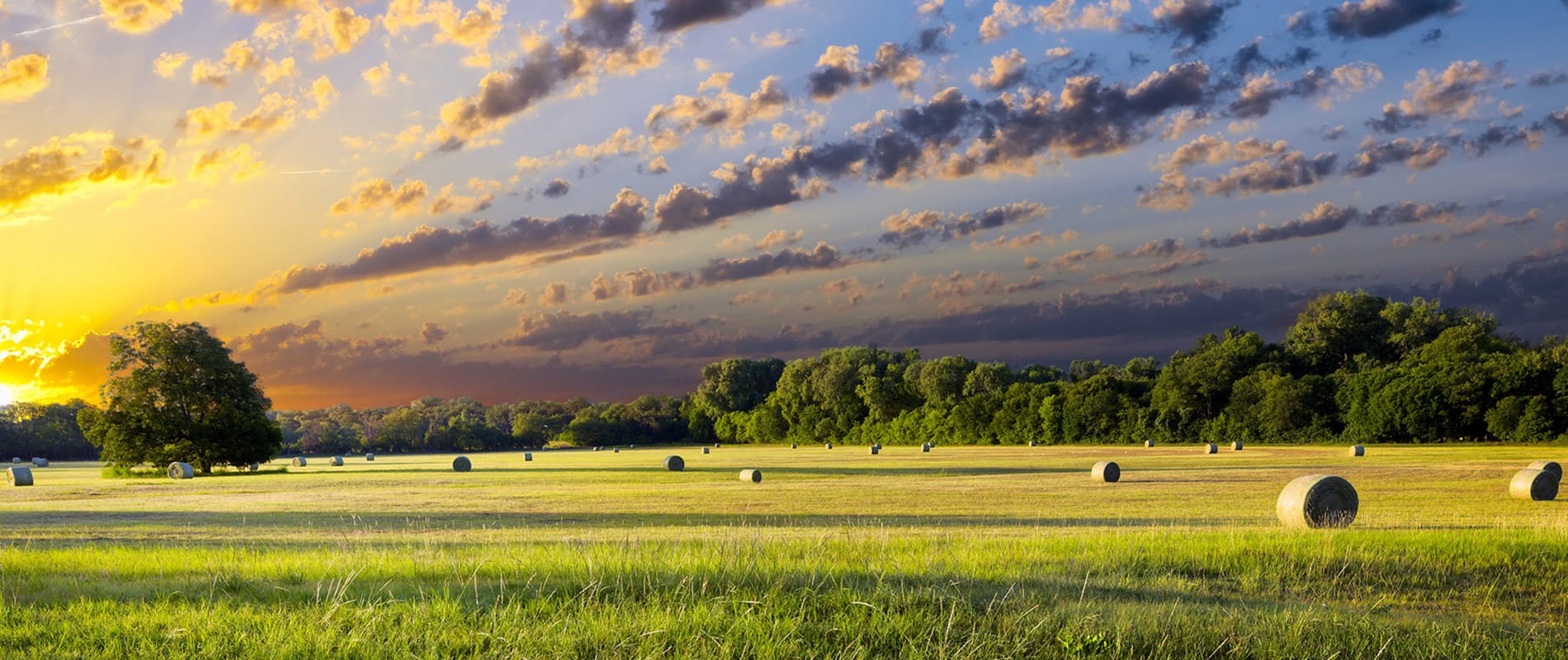 Dayton, OH / Miami Valley Homes for Sale & Real Estate Irongate Realtors